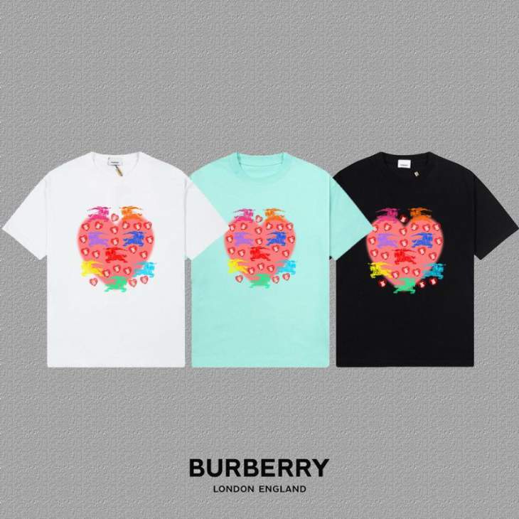 Picture of Burberry T Shirts Short _SKUBurberryS-2XLxetr22119742
